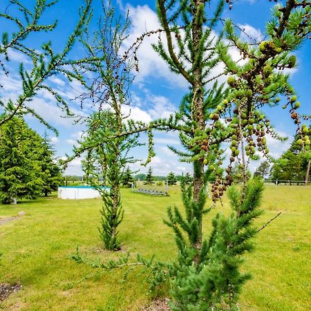 Pension Zum Reiterhof Schmogrow Exterior foto
